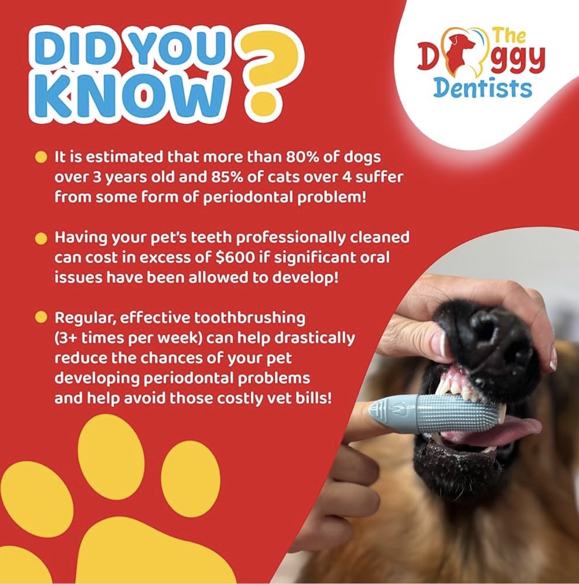 Pet Finger Toothbrush 2-Pack – 360° Silicone Dog & Cat Toothbrush for Tartar Control, Bad Breath & Daily Teeth Cleaning