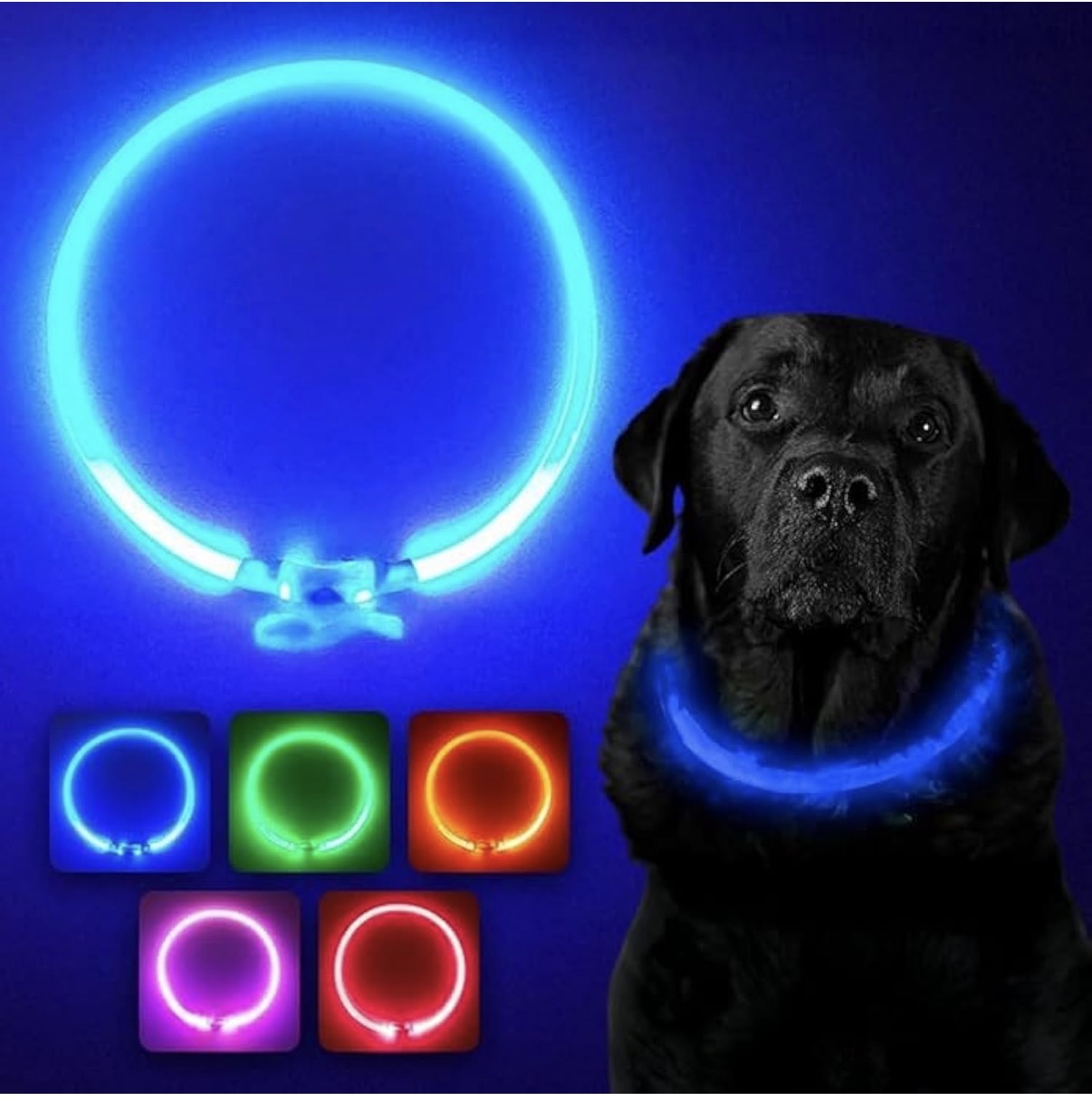 LED Dog Collar – USB Rechargeable Safety Light Collar for Dogs, Cats & Puppies with a Fashionable Glow-in-the-Dark Design.