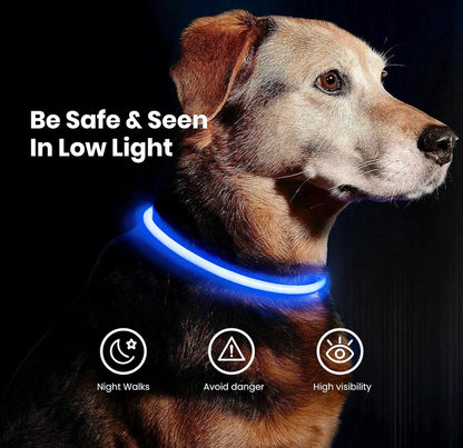 LED Dog Collar – USB Rechargeable Safety Light Collar for Dogs, Cats & Puppies with a Fashionable Glow-in-the-Dark Design.
