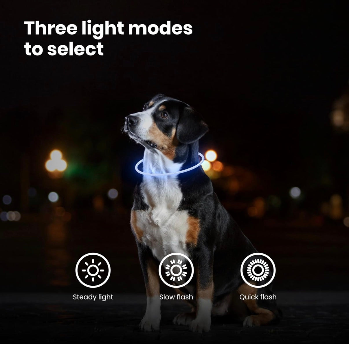 LED Dog Collar – USB Rechargeable Safety Light Collar for Dogs, Cats & Puppies with a Fashionable Glow-in-the-Dark Design.