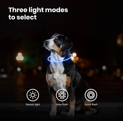 LED Dog Collar – USB Rechargeable Safety Light Collar for Dogs, Cats & Puppies with a Fashionable Glow-in-the-Dark Design.