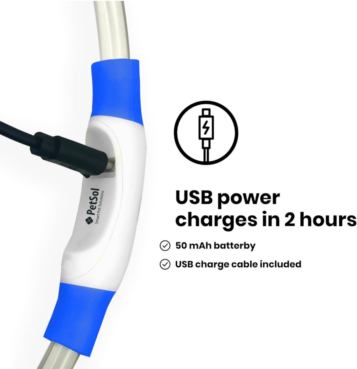 LED Dog Collar – USB Rechargeable Safety Light Collar for Dogs, Cats & Puppies with a Fashionable Glow-in-the-Dark Design.