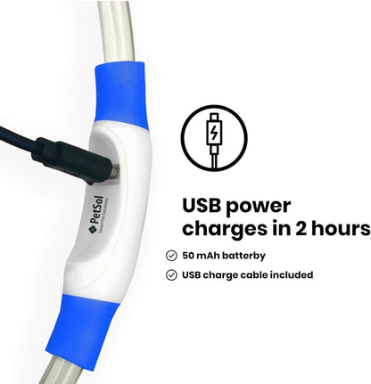 LED Dog Collar – USB Rechargeable Safety Light Collar for Dogs, Cats & Puppies with a Fashionable Glow-in-the-Dark Design.