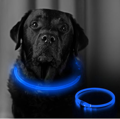 LED Dog Collar – USB Rechargeable Safety Light Collar for Dogs, Cats & Puppies with a Fashionable Glow-in-the-Dark Design.