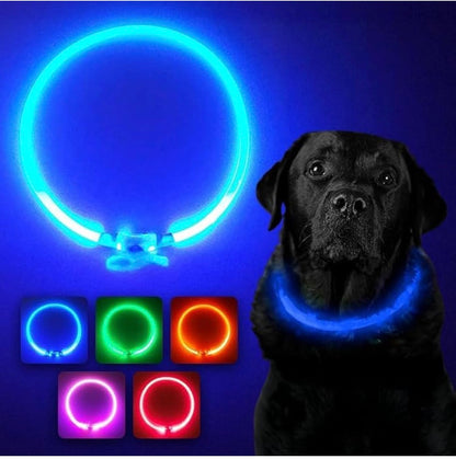LED Dog Collar – USB Rechargeable Safety Light Collar for Dogs, Cats & Puppies with a Fashionable Glow-in-the-Dark Design.